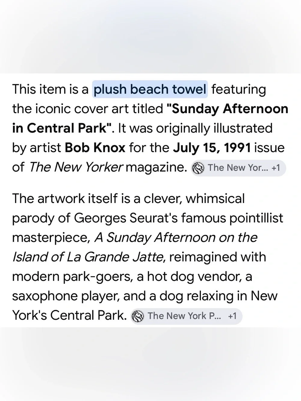 HTF RARE The New Yorker Magazine Beach Towel July  15, 1991 Central Park